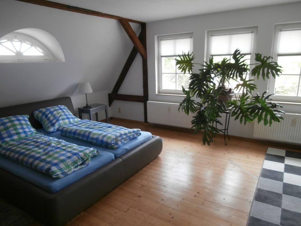 Saaleblick Apartment