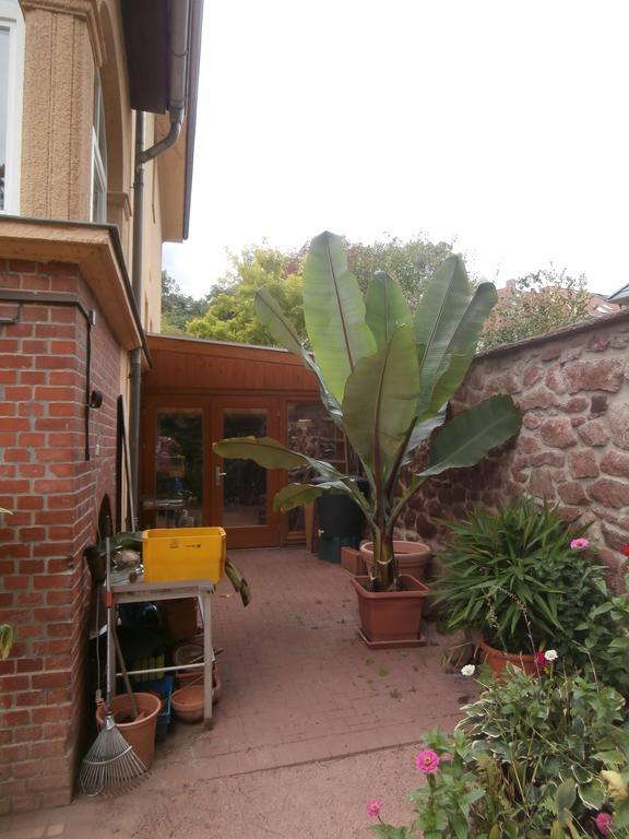 Apartment Saaleblick *